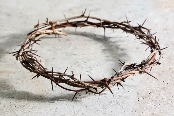 Dokulu bir yüzeyde dikenli bir tacın yakın çekimi. Doğal, kırsal ve sembolik..