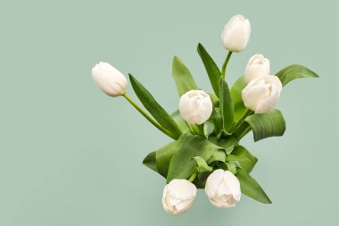 Yumuşak yeşil arka planda yeşil yapraklı beyaz laleler rahatlatıcı ve minimalist bir atmosfer yaratıyor..