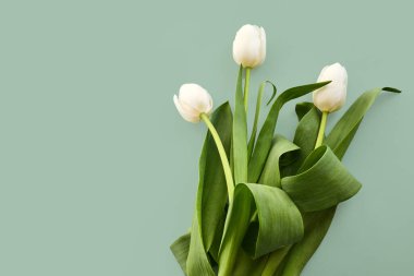 Yumuşak yeşil arka planda yeşil yapraklı beyaz laleler rahatlatıcı ve minimalist bir atmosfer yaratıyor..
