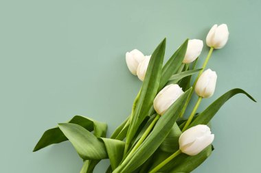 Yumuşak yeşil arka planda yeşil yapraklı beyaz laleler rahatlatıcı ve minimalist bir atmosfer yaratıyor..