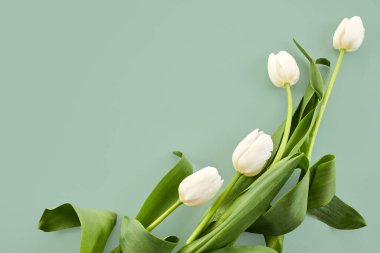 Yumuşak yeşil arka planda yeşil yapraklı beyaz laleler rahatlatıcı ve minimalist bir atmosfer yaratıyor..