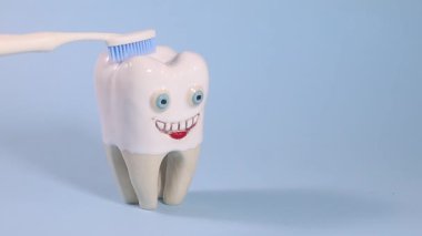 Gülümseyen bir diş modeli açık mavi bir arkaplanda fırçalanır..