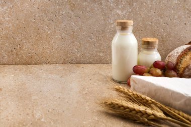 Yahudi bayramı Shavuot konsepti. Tohumlar, süt ve peynir Travertini taşından arka planda.