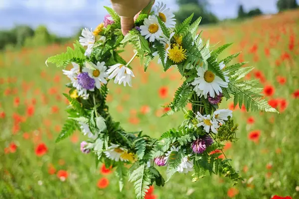 Yeşillik ve papatyalarla dolu canlı bir çiçek çelengi, yemyeşil bir arka planda tutan bir el..
