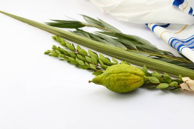 Beyaz arka planda lulav, etrog ve tallit içeren bir dizi Sukkot ürünü..
