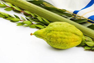 Beyaz arka planda etrog, lulav ve geleneksel tekstil gibi Sukkot ürünlerinin yer aldığı bir kompozisyon.