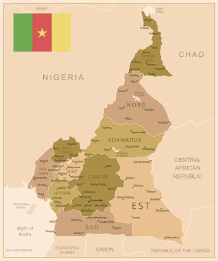 Kamerun - ülkenin kahverengi renkli detaylı haritası, bölgelere bölünmüş. Vektör illüstrasyonu