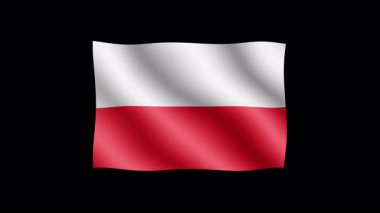 Polonya - Şeffaf arkaplanda bayrak sallamanın yüksek kaliteli animasyonu. Kusursuz animasyon.