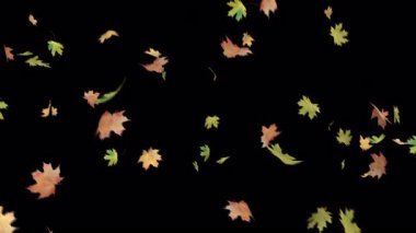 Düşen yapraklarla sonbahar arkaplanı.