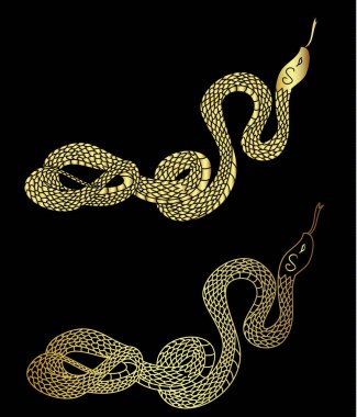 El çizimi yılan illüstrasyonu beyaz arkaplanda izole edildi. Süt yılanı vektörü.