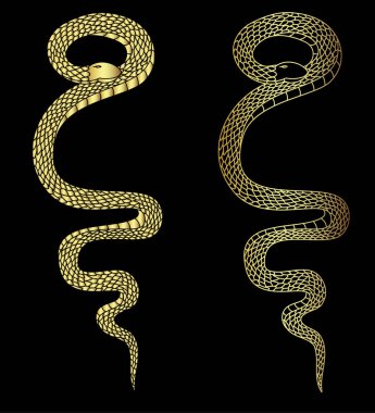 El çizimi yılan illüstrasyonu beyaz arka planda izole edildi. Süt yılanı vektörü. Altın yılan vektörü..