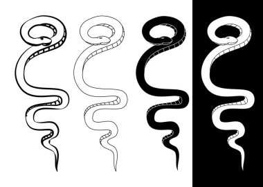 El çizimi yılan illüstrasyonu beyaz arkaplanda izole edildi. Süt yılanı vektörü.