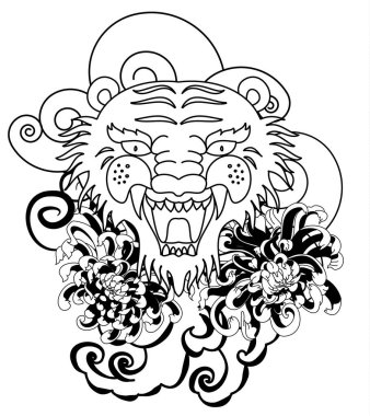 Renkli geleneksel dövme stili kaplan yüzü kiraz çiçeği ve amber çiçeği üzerinde olabilir ve kızıl güneş arkaplanı. Çin kaplanı kükreyen dövmesi..