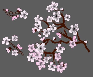 Şeftali çiçeği ve kiraz çiçeği seti. Sakura vektör seti. İzole ve altın çiçek. Serbest el Sakura çiçek vektörü seti. Kırmızı zemin üzerinde zengin olmak için kiraz çiçeği dalı..