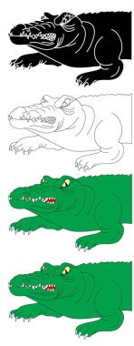 Timsah vektör seti çiziliyor. Timsah beyaz arkaplanda izole edildi.