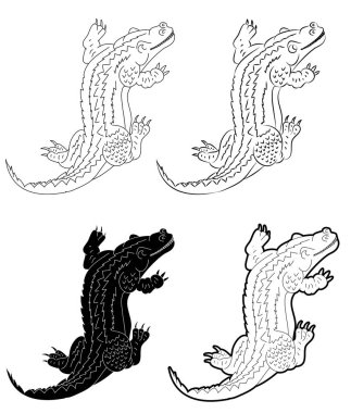 Timsah vektör seti çiziliyor. Timsah beyaz arkaplanda izole edildi.