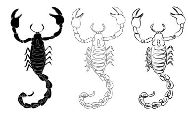 Siyah beyaz çizen akrep. Vektör çizimi. Akrep renkli set ve çıkartma tasarımı.
