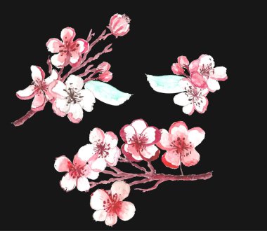 Doodle sanatı Şeftali çiçeği bitkisi ve Sakura çiçek vektörü