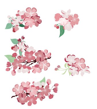 Doodle sanatı Şeftali çiçeği bitkisi ve Sakura çiçek vektörü