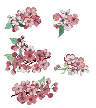 Doodle sanatı Şeftali çiçeği bitkisi ve Sakura çiçek vektörü