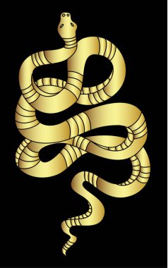 Kırmızı yılan vektörü. Lampropeltis triangulum vektörü. Dövme için kalp ve el yapımı yılan..