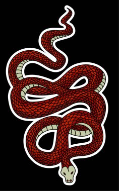 Kırmızı yılan vektörü. Lampropeltis triangulum vektörü. Dövme için kalp ve el yapımı yılan..