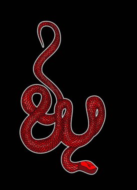 Kırmızı yılan vektörü. Lampropeltis triangulum vektörü. Dövme için kalp ve el yapımı yılan..
