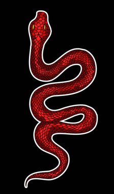 Kırmızı yılan vektörü. Lampropeltis triangulum vektörü. Dövme için kalp ve el yapımı yılan..