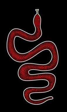 Kırmızı yılan vektörü. Lampropeltis triangulum vektörü. Dövme için kalp ve el yapımı yılan..