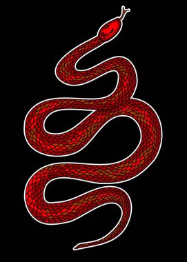 Kırmızı yılan vektörü. Lampropeltis triangulum vektörü. Dövme için kalp ve el yapımı yılan..
