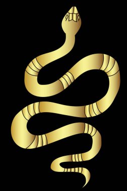 Kırmızı yılan vektörü. Lampropeltis triangulum vektörü. Dövme için kalp ve el yapımı yılan..