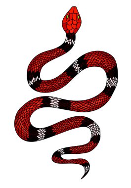 Kırmızı yılan vektörü. Lampropeltis triangulum vektörü. Dövme için kalp ve el yapımı yılan..