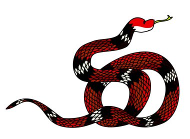 Kırmızı yılan vektörü. Lampropeltis triangulum vektörü. Dövme için kalp ve el yapımı yılan..