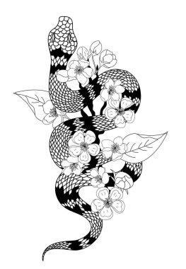 red snake vector and Cherry flower spring season vector illustration background.Poster design Red snake Reptile and Sakura flower for printing and tattoo.