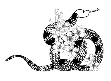 red snake vector and Cherry flower spring season vector illustration background.Poster design Red snake Reptile and Sakura flower for printing and tattoo.