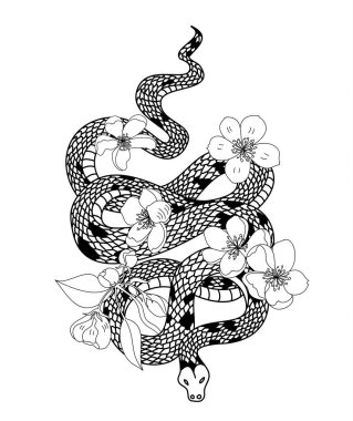 red snake vector and Cherry flower spring season vector illustration background.Poster design Red snake Reptile and Sakura flower for printing and tattoo.
