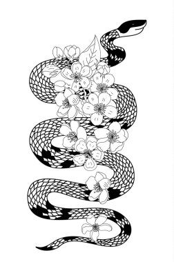 red snake vector and Cherry flower spring season vector illustration background.Poster design Red snake Reptile and Sakura flower for printing and tattoo.