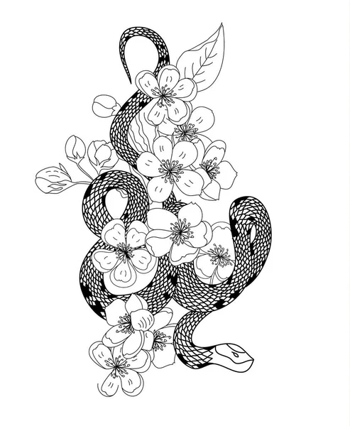 red snake vector and Cherry flower spring season vector illustration background.Poster design Red snake Reptile and Sakura flower for printing and tattoo.