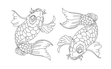koi carp vector isolate for tattoo.Japanese carp drawing.Hand drawn line art of fish (Koi carp). Vector isolated. Idea for tattoo and coloring books.