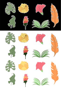 Leaf set vector with Hibiscus flower.Traditional Japanese flower on white background.