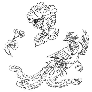 Chinese peacock with Peony flower and Cherry blossom vector.Outline Phoenix fire bird with peony and Sakura flower tattoo.