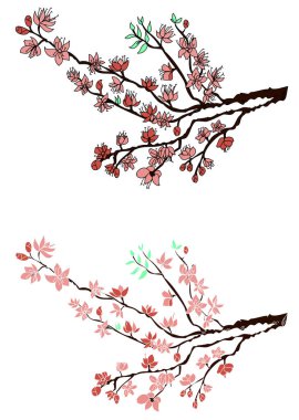Free hand Sakura flower vector set, Beautiful line art Peach blossom isolate on white background.Branch of cherry blossom for printing on wallpapers and sticker.Japanese flower.Golden line art.