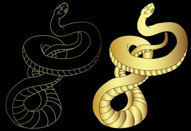 Gold Lampropeltis triangulum vector.Sticker and hand drawn snake for tattoo. 