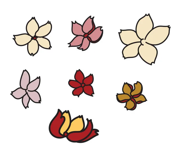 Doodle Art Peach Blossom Plant Und Sakura Blume Vector Cherry — Stockvektor
