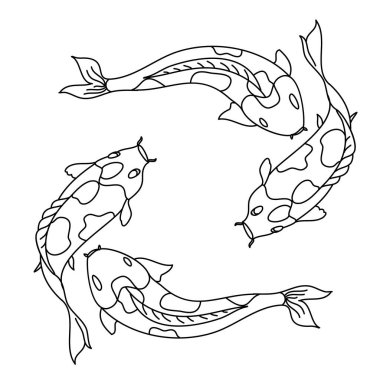 Koi sazan vektörü dövme için izole edildi. Japon sazan balığı çizimi. El çizimi Koi sazan balığı sanatı. Vektör izole edildi. Dövme ve boyama kitapları için fikir.