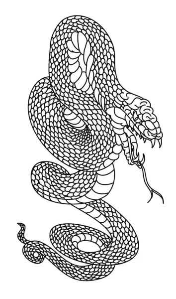 Vetores de Desenho De Cobra Cobra Esboço De Mão De Réptil Selvagem e mais  imagens de Colorindo - iStock