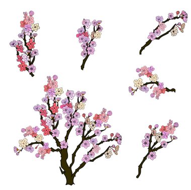 Serbest el Sakura çiçek vektörü seti, Güzel çizgi sanatı Şeftali çiçekleri beyaz arkaplanda izole edildi. Kiraz çiçeği illüstrasyon seti. Kartları birleştirmek ya da arkaplanda yazdırmak için unsur.. 