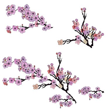 Serbest el Sakura çiçek vektörü seti, Güzel çizgi sanatı Şeftali çiçekleri beyaz arkaplanda izole edildi. Kiraz çiçeği illüstrasyon seti. Kartları birleştirmek ya da arkaplanda yazdırmak için unsur.. 
