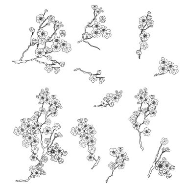 Serbest el Sakura çiçek vektörü seti, Güzel çizgi sanatı Şeftali çiçekleri beyaz arkaplanda izole edildi. Kiraz çiçeği illüstrasyon seti. Kartları birleştirmek ya da arkaplanda yazdırmak için unsur.. 