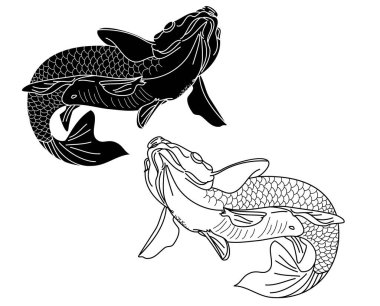 koi carp vector isolate for tattoo.Japanese carp drawing.Hand drawn line art of fish (Koi carp). Vector isolated. Idea for tattoo and coloring books.